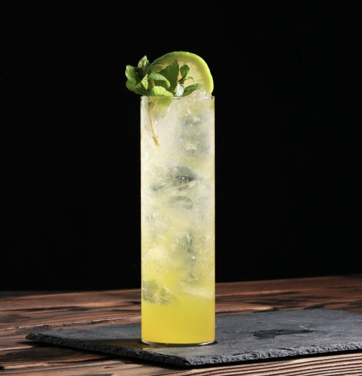 best glass for gin and tonic by glasscias