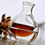 Clean-cut crystal decanter with internal ice holder